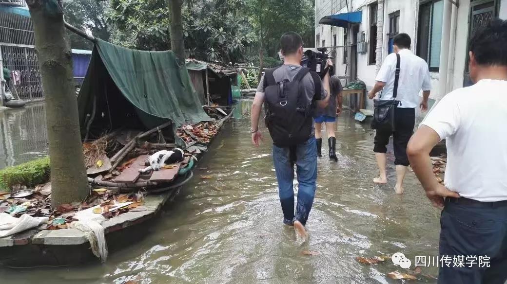 1557743141466851.jpg 003.jpg