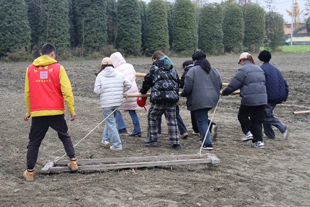 1733735831460963.jpg 5.JPG