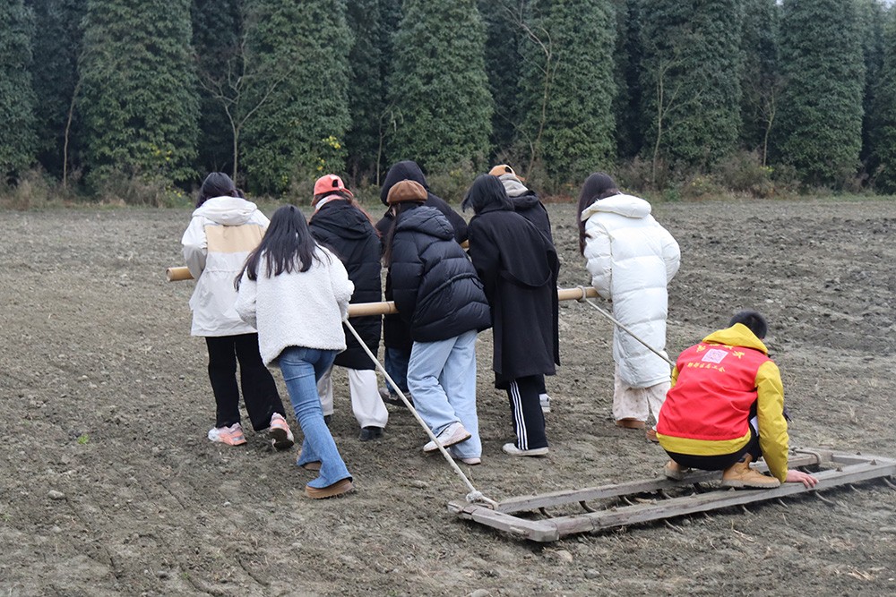 1733735845816133.jpg 6.JPG