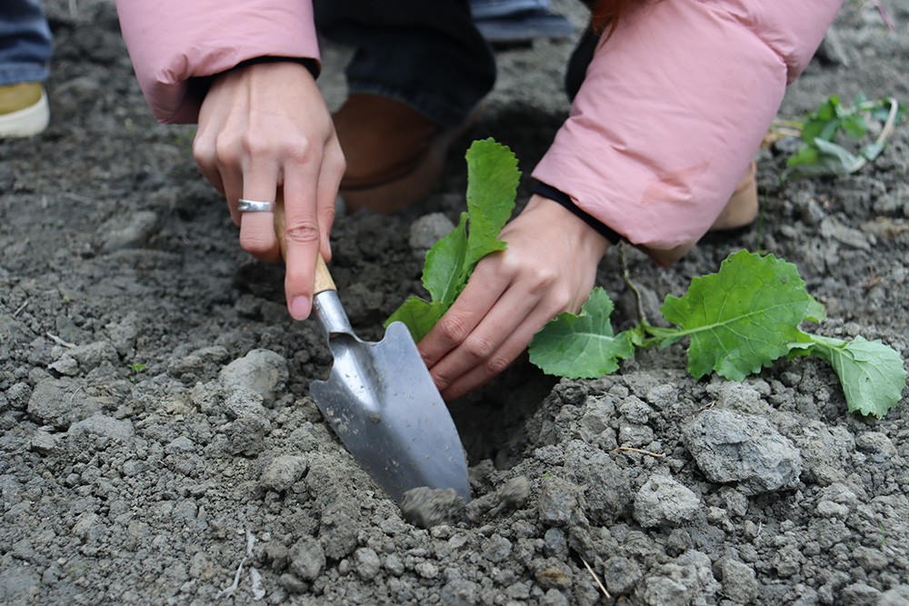 1733735879805744.jpg 7.JPG