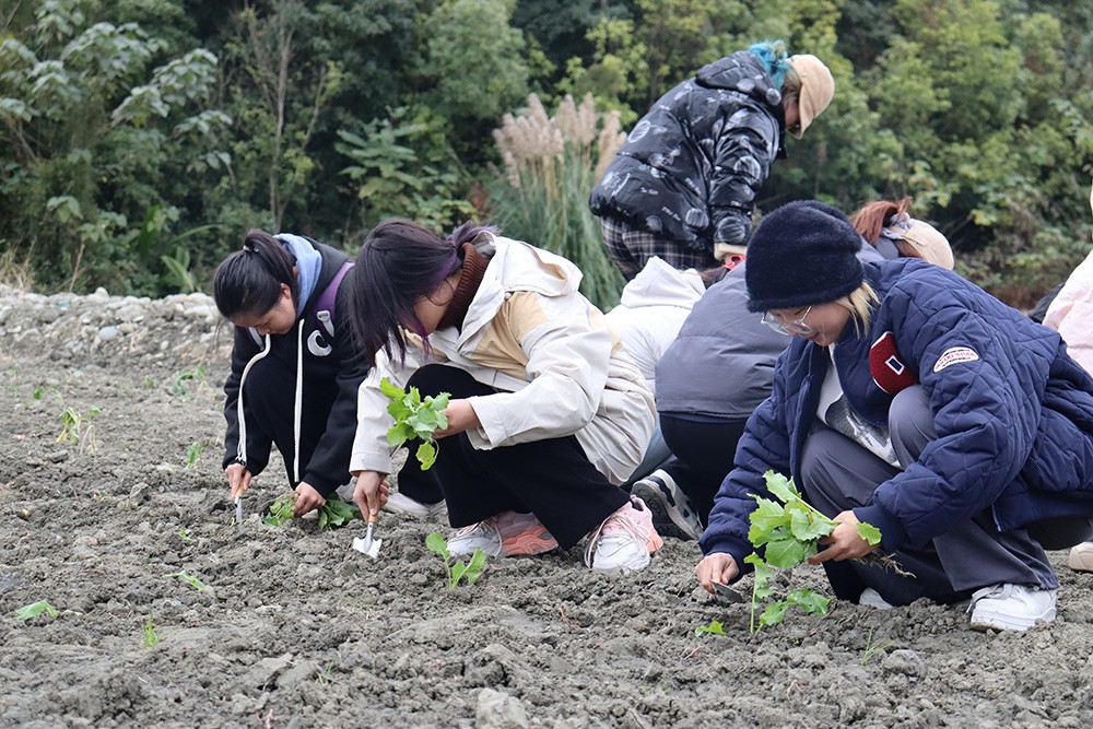 1733735899261189.jpg 8.JPG