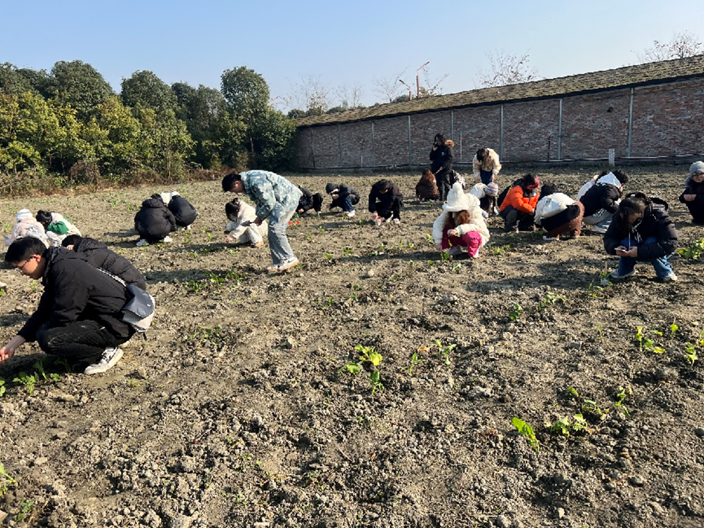 1734415347668177.png 图片1.png