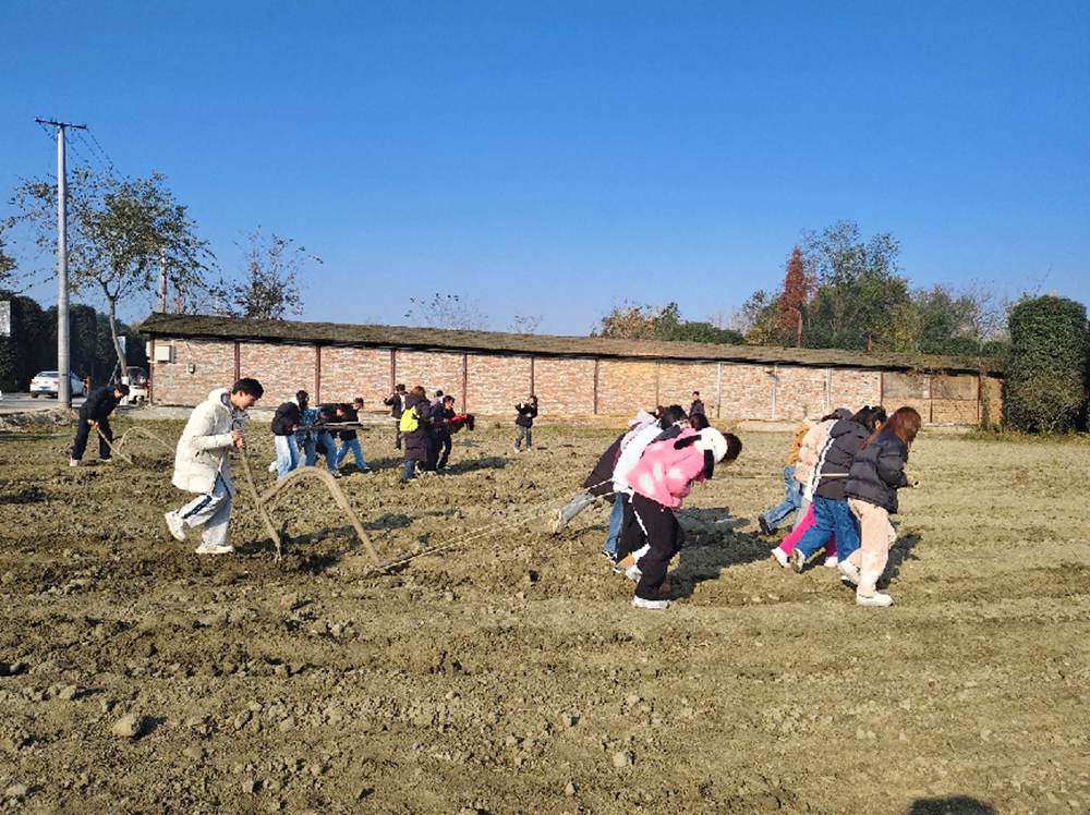 1734415379330226.png 图片2.png