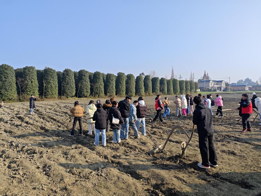 1734425607394622.png 333.png