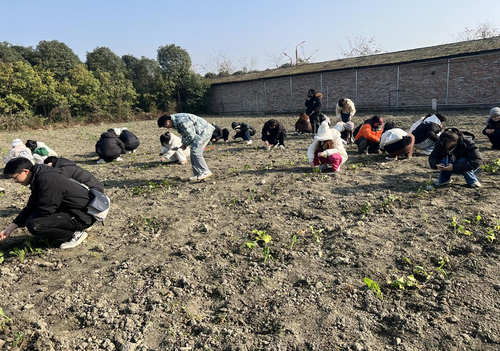 1734425622927955.png 444.png