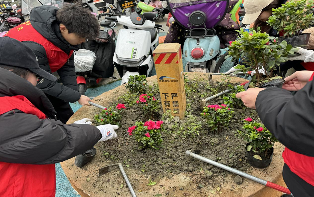 1741785459506913.png 图片1.png